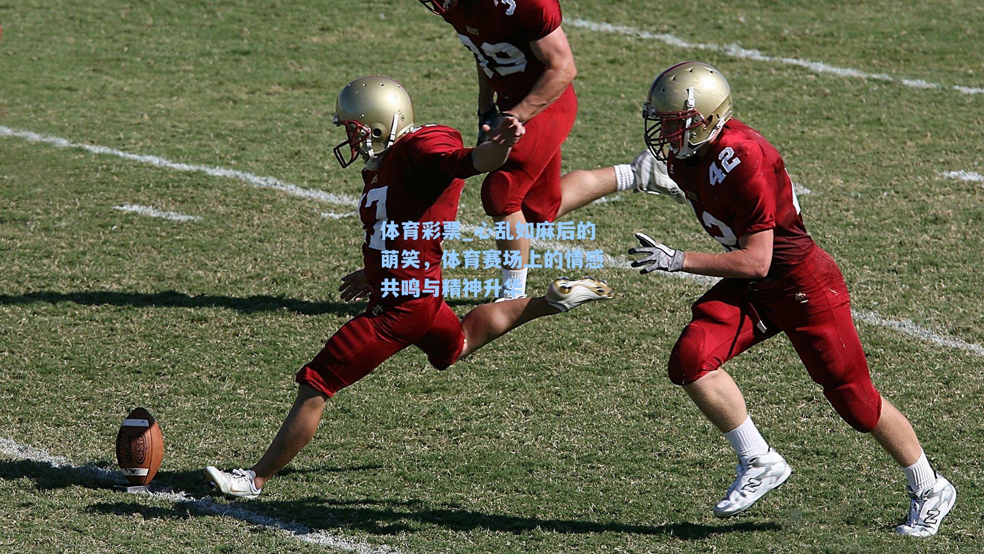 体育彩票_心乱如麻后的萌笑，体育赛场上的情感共鸣与精神升华