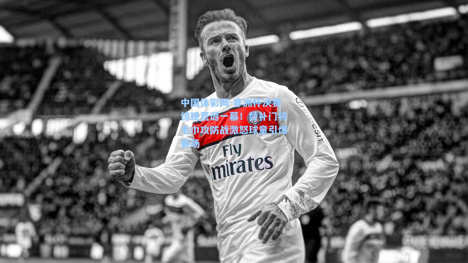 非洲杯决赛惊现荒诞一幕！替补门将毛巾攻防战激怒球童引爆赛场