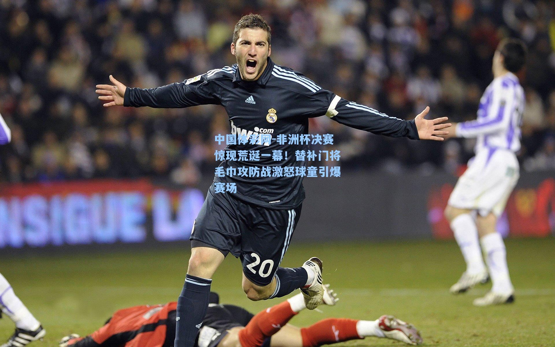 非洲杯决赛惊现荒诞一幕！替补门将毛巾攻防战激怒球童引爆赛场